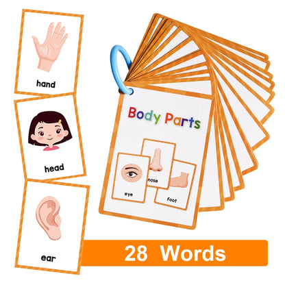 Flashcards Montessori Kids English Words Learning  Early Educational Cards