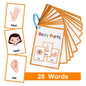 Flashcards Montessori Kids English Words Learning  Early Educational Cards